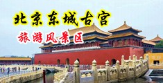 淫穴被插嗷嗷叫视频中国北京-东城古宫旅游风景区